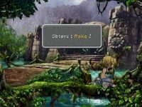 une photo d'Ã©cran de Final Fantasy 9 sur Sony Playstation